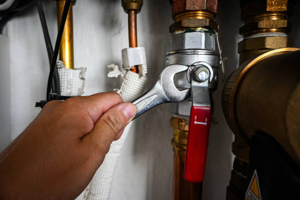 Best Clogged Drain Plumber  in Linden, TN